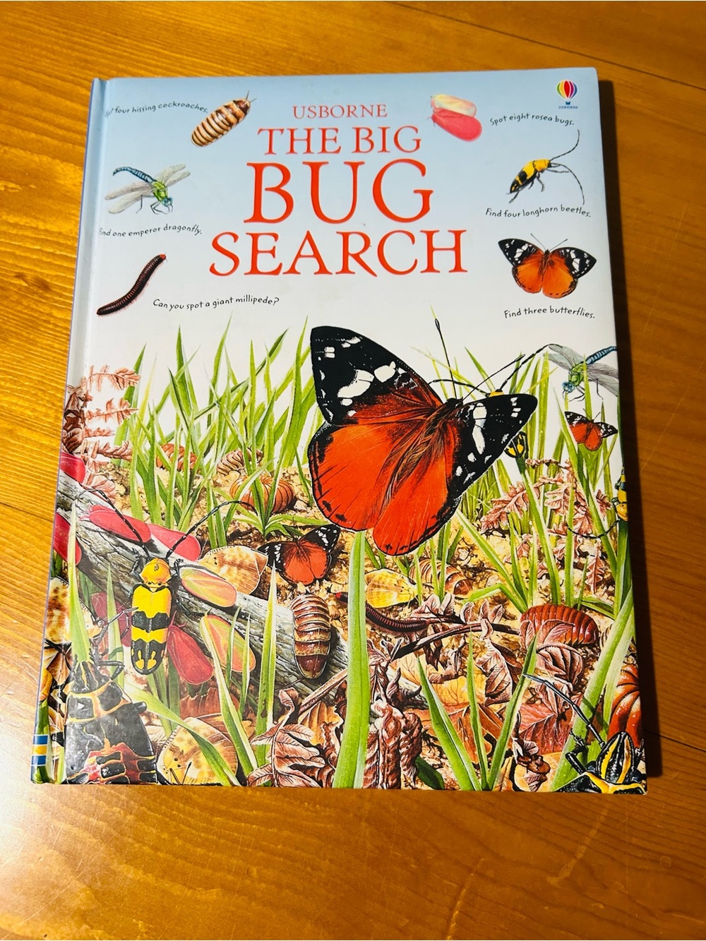 Usborne The Big Bug Search hardcover book